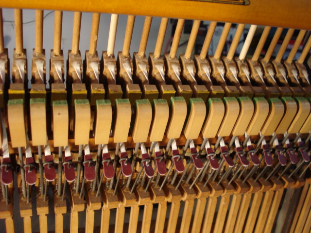 A24 Bridle tapes connected to wippens A24 Bridle tapes connected to wippens